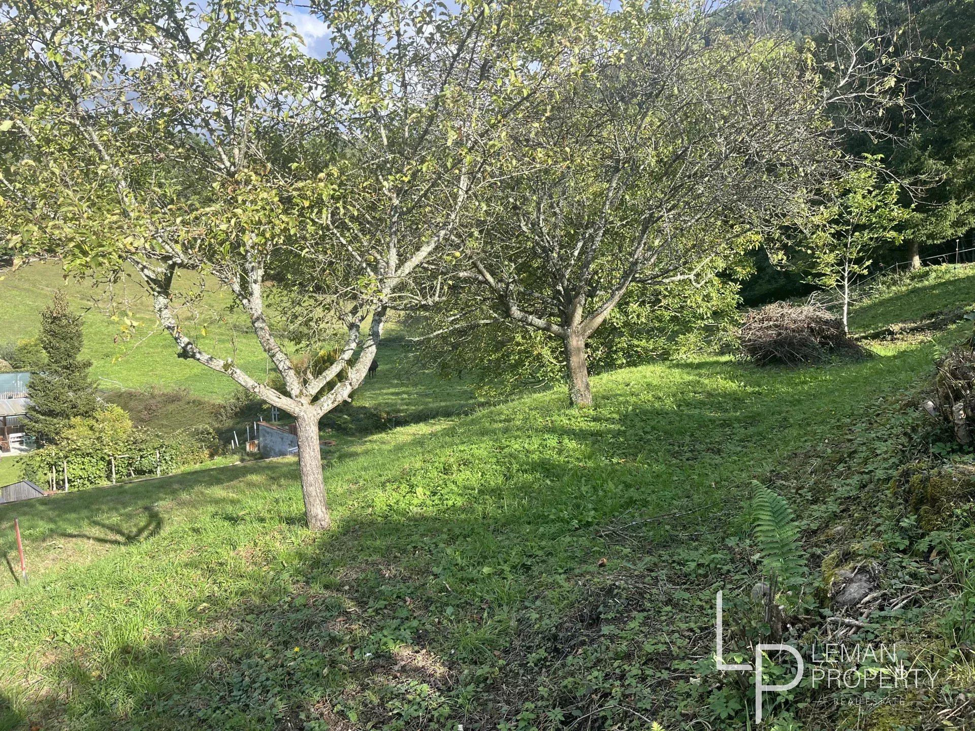 Terrain disponible à la vente à Lyaud