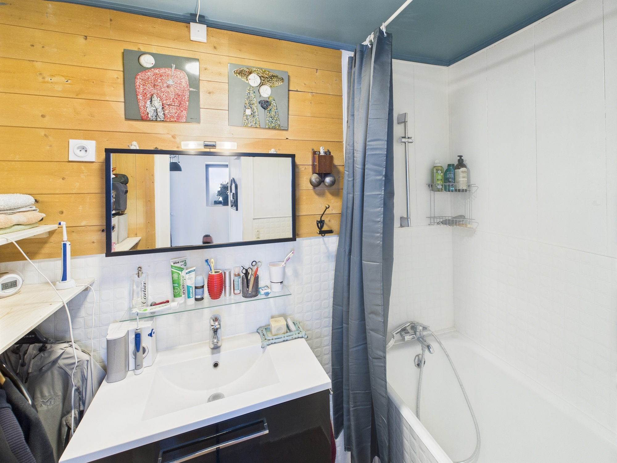 Neuvecelle   Vue panoramique sur le lac   Environnement champêtre