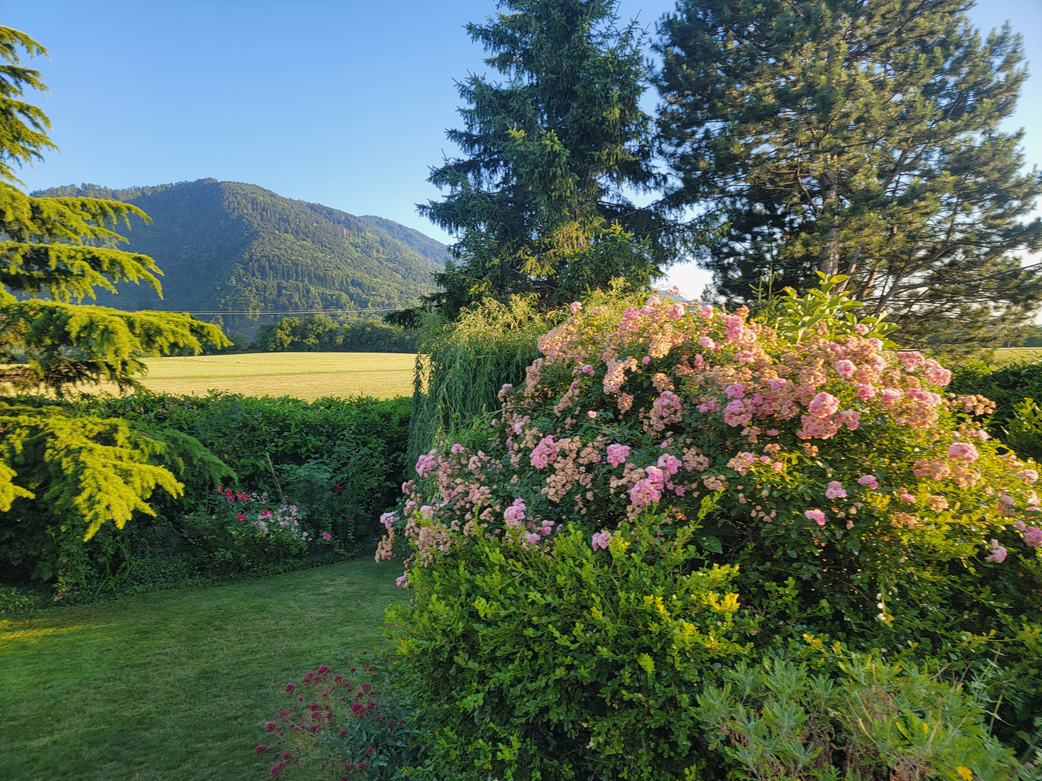 Maison / Villa disponible à la vente à Féternes