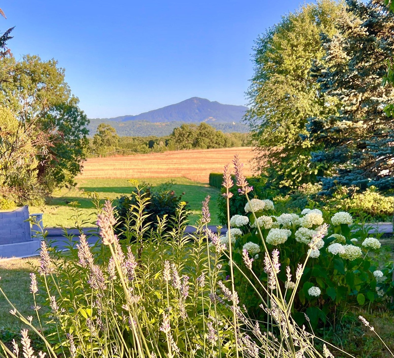 Maison / Villa en vente sur www.leman-property.com