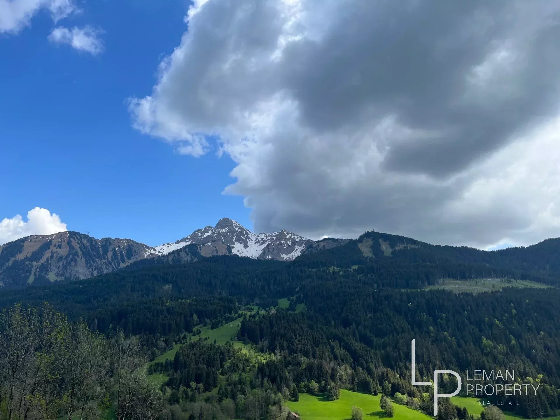 Vente de Terrain à Abondance au prix de 295000€