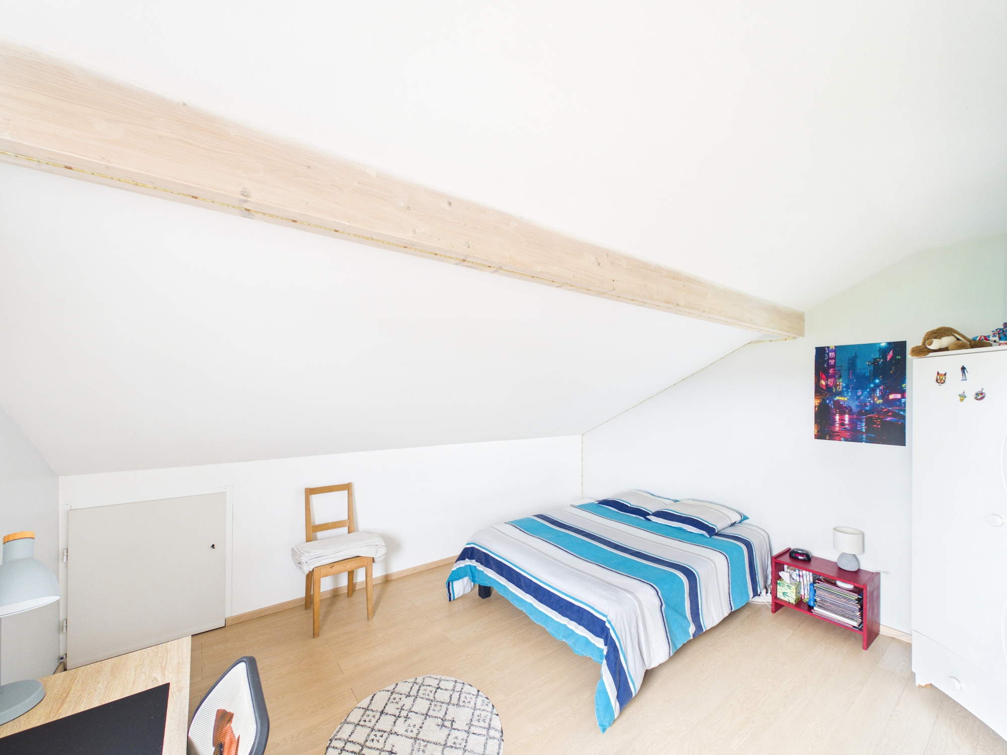 Achetez votre Maison / Villa dans la ville de Thonon Les Bains