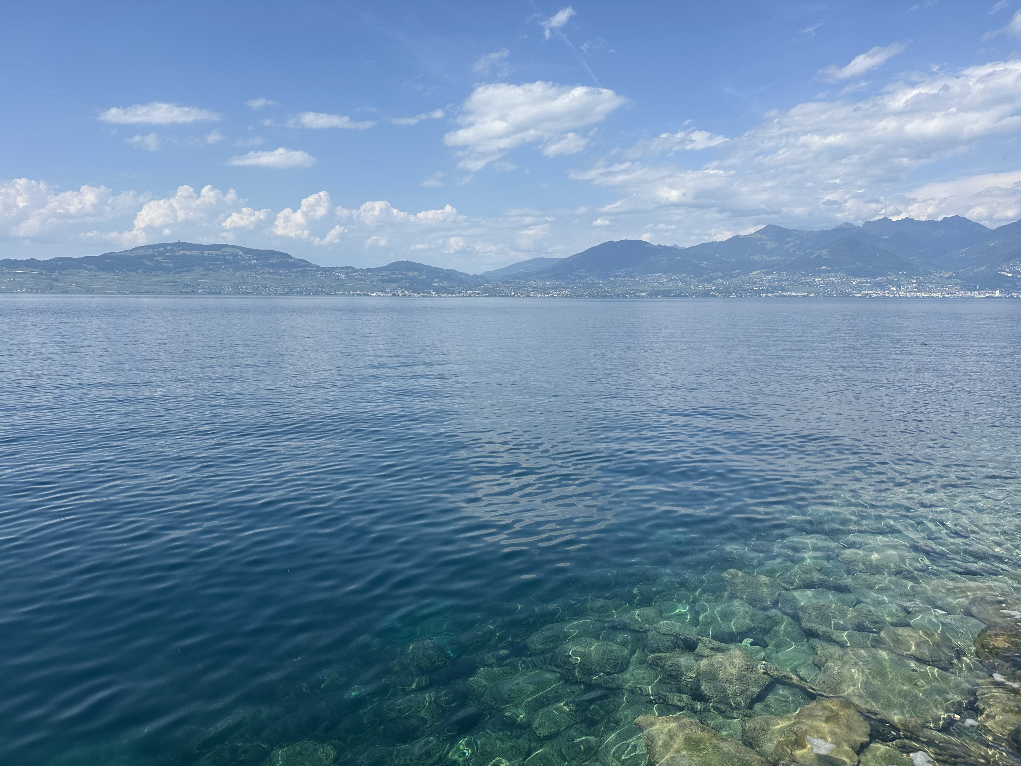 Appartement disponible à la vente à St gingolph