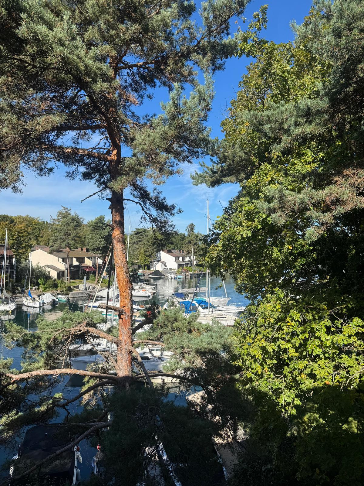 Vente de Appartement à Thonon Les Bains au prix de 495000€