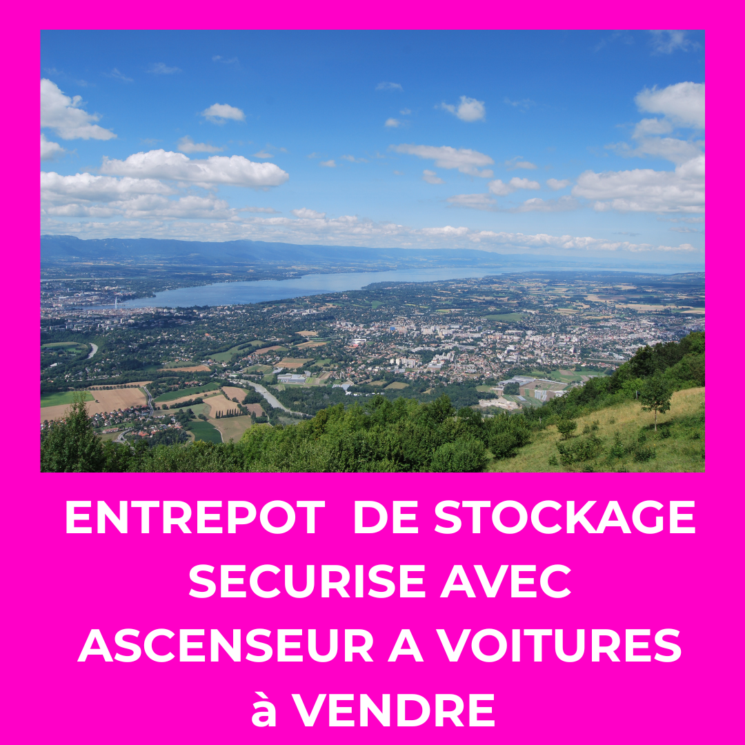 Vente de Autre à Perrignier au prix de 2000000€