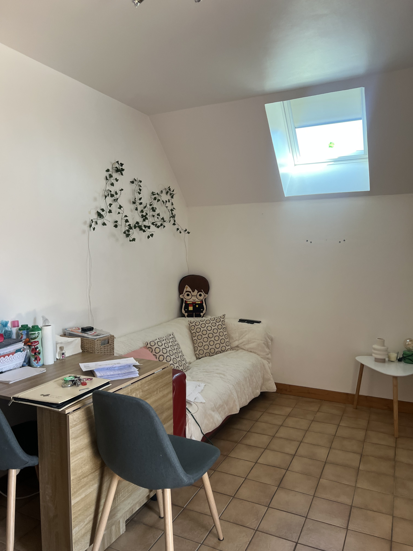Maison / Villa en vente sur www.leman-property.com